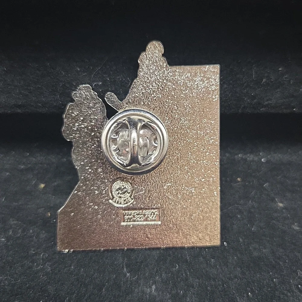 Carpenters Local 244 Western Slope Colorado Union Pin